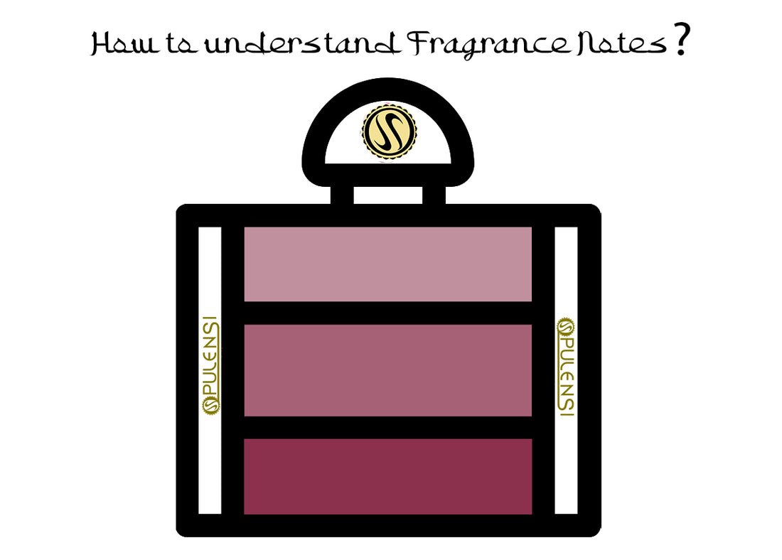 How to understand Fragrance Smells?