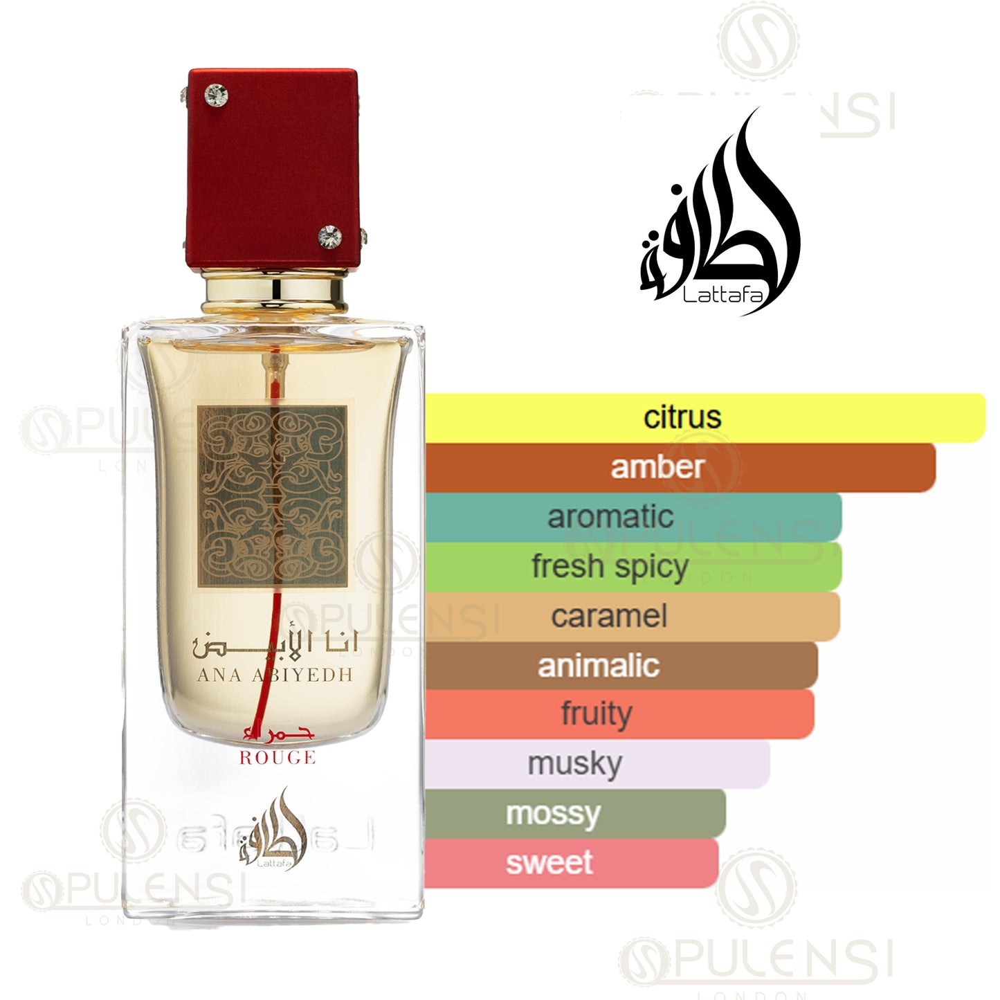 Ana Abiyedh Rouge 60ml by Lattafa Eau De Parfum perfume notes