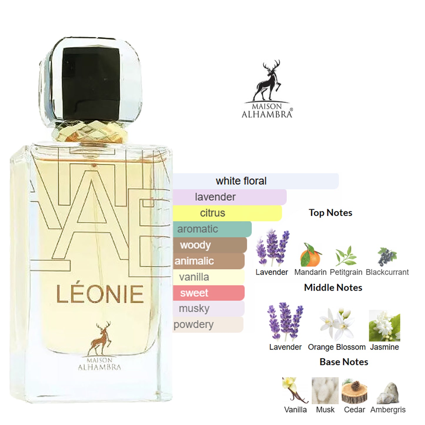 Léonie 100ml EDP by Maison Alhambra