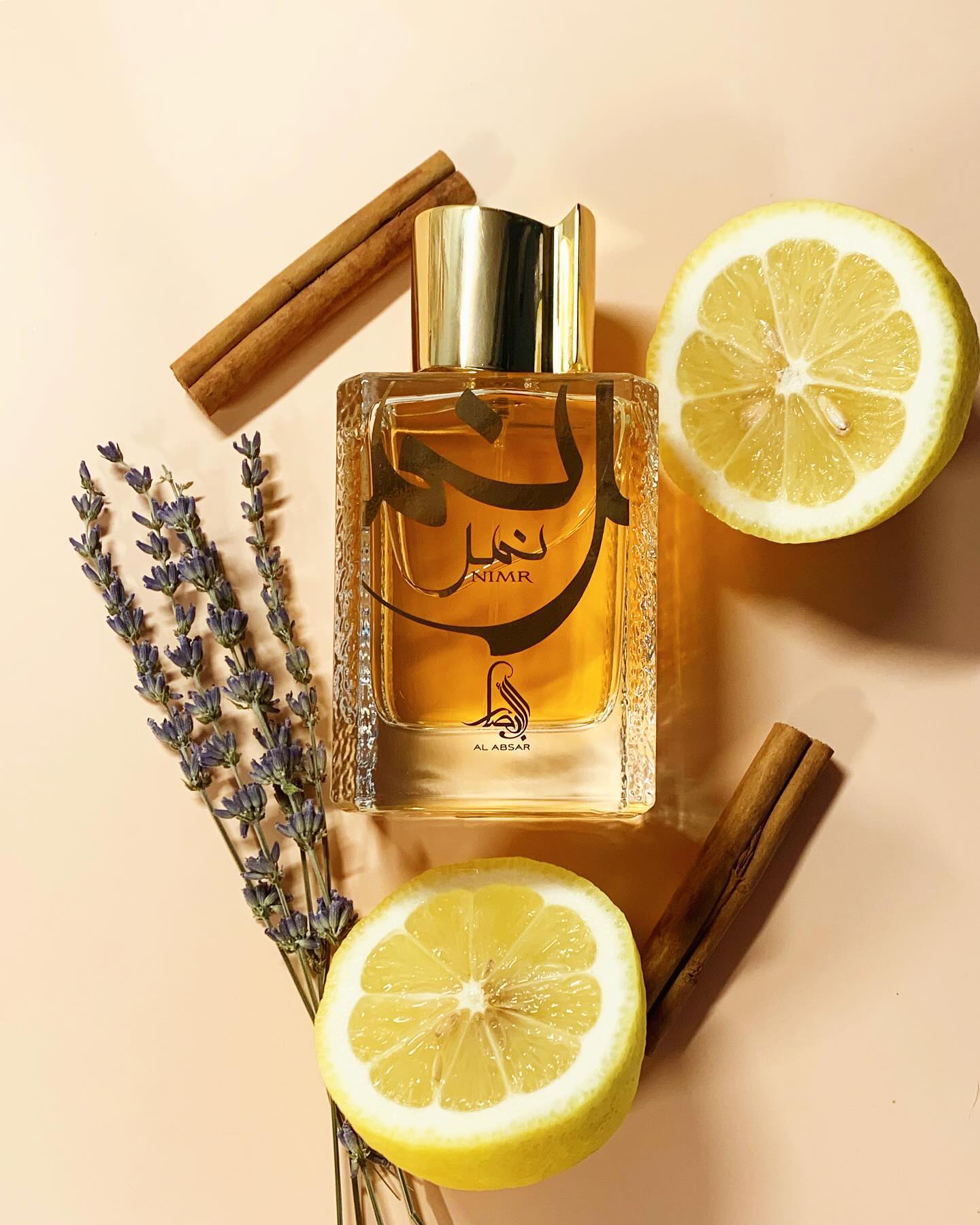 Nimr Eau De Parfum 100ml by Al Absar (Al Watania)