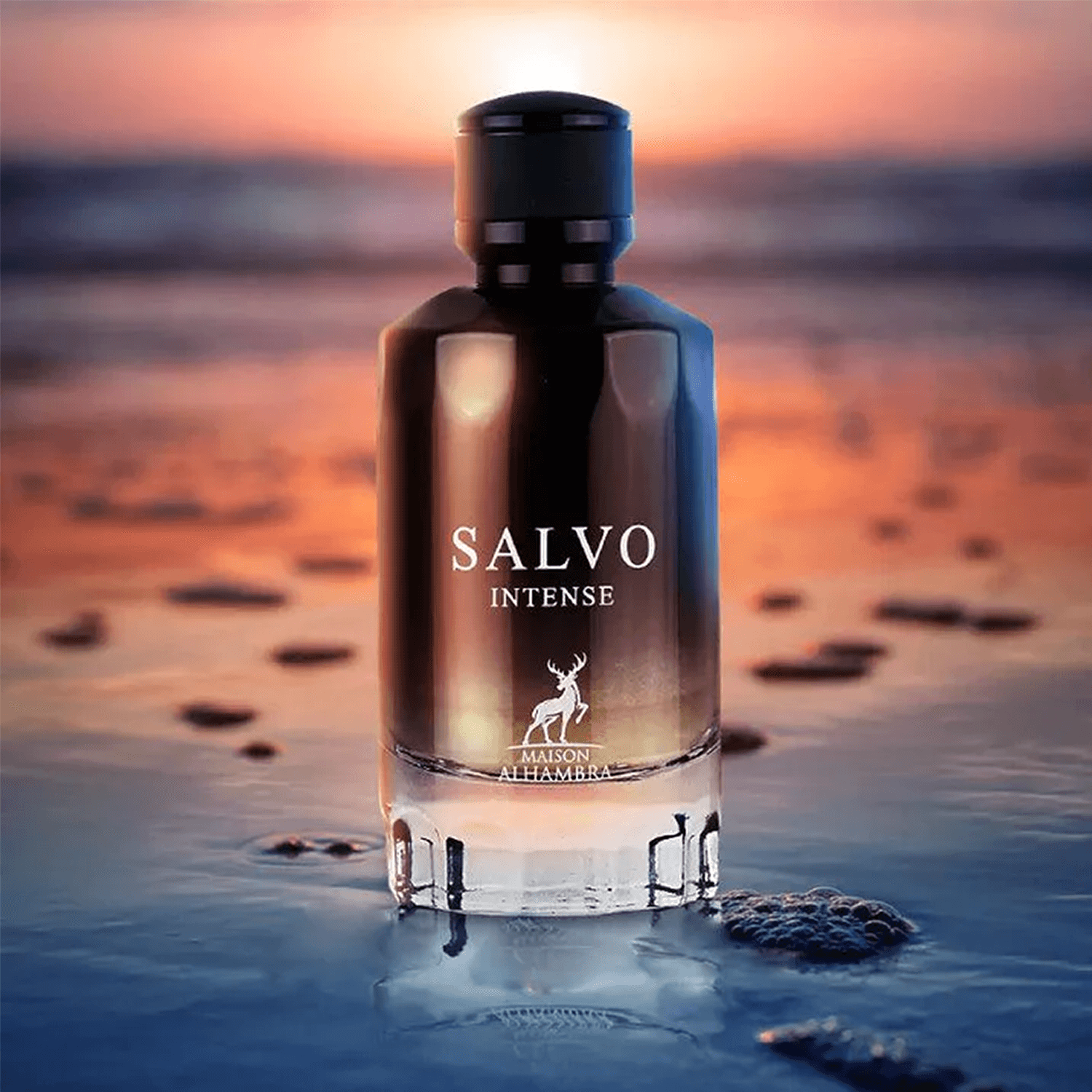 Salvo Intense 100ml EDP by Maison Alhambra display banner